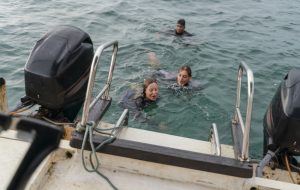 The Importance of Boat Grab Handles and Where You Should Put Them
